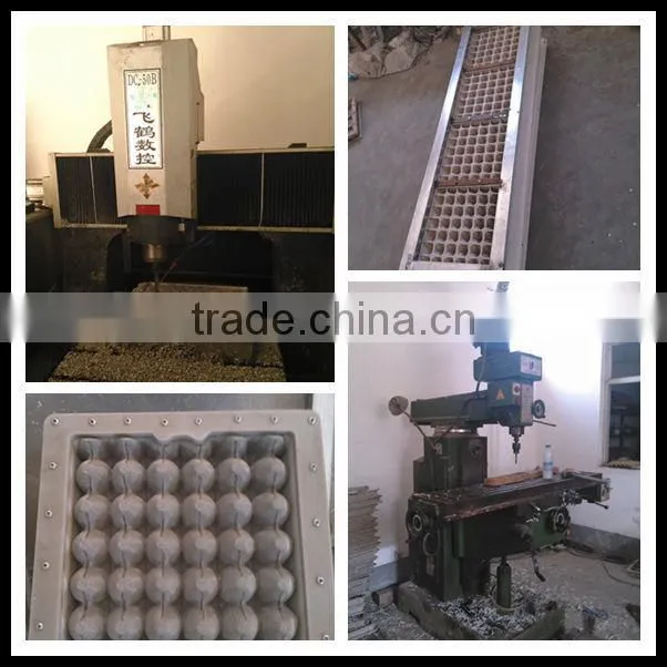 30 holes egg trays forming moulds