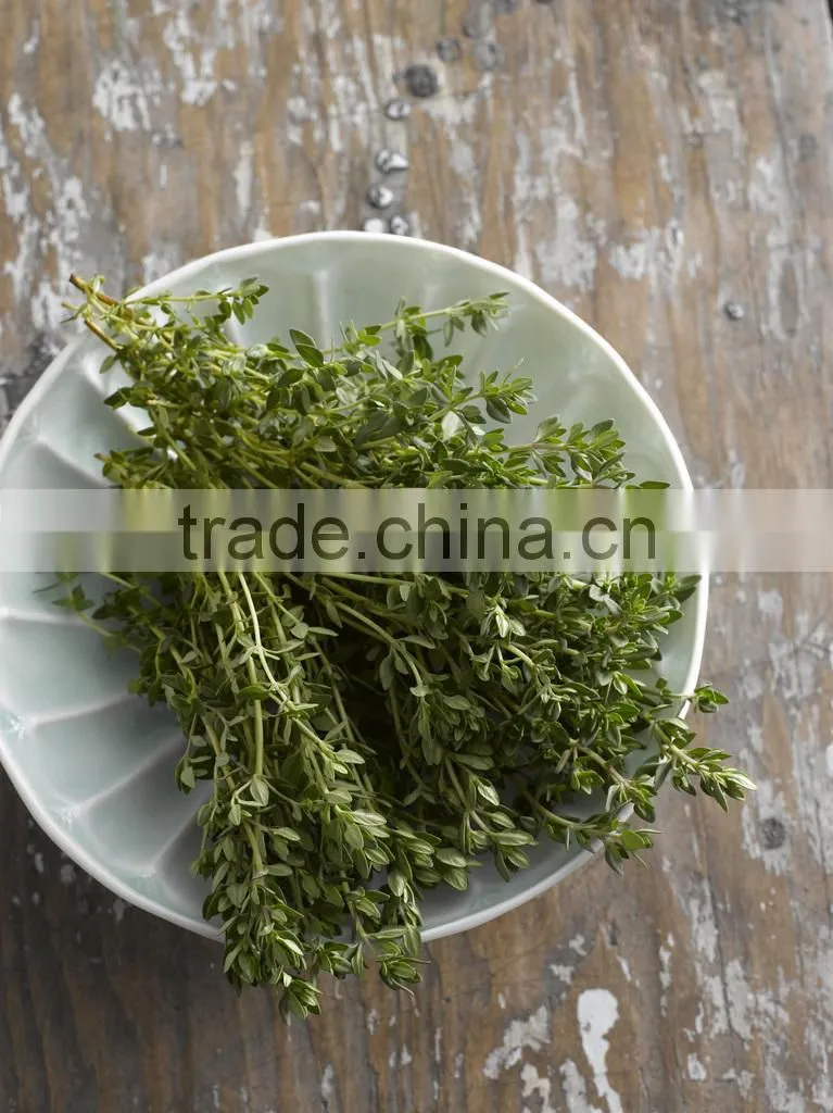 Thyme Multiple layer continuous type mesh belt dryer