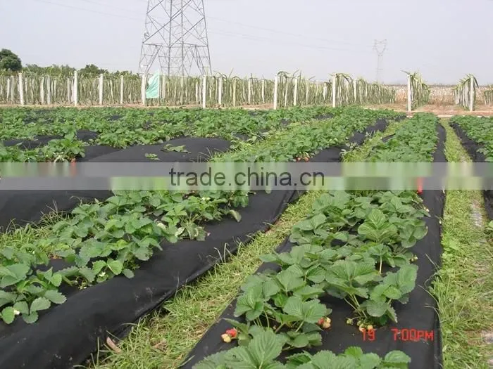 Wholesale 20-320cm Width Recyclable Landscape Fabric Agriculture Cover