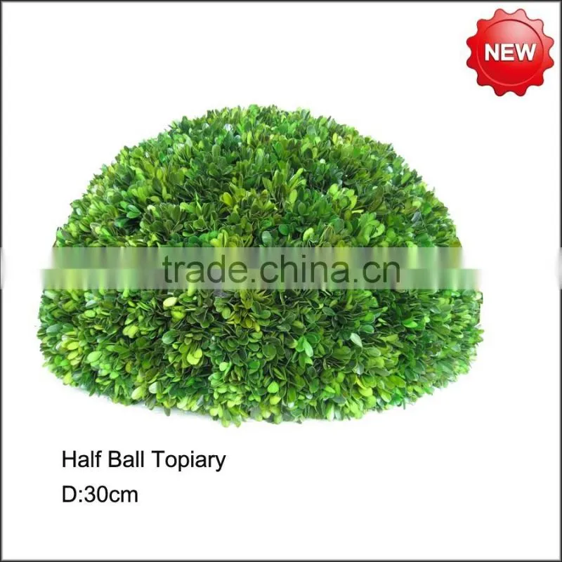 Preserved boxwood half ball topiary