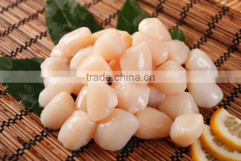 new arrival wholesale health no shell sea scallop meat price