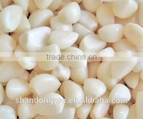 wholesale fresh garlic cloves price