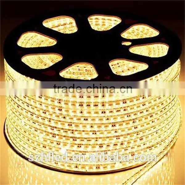 Double row smd 2835 flex led strip warm white cool white dual color led