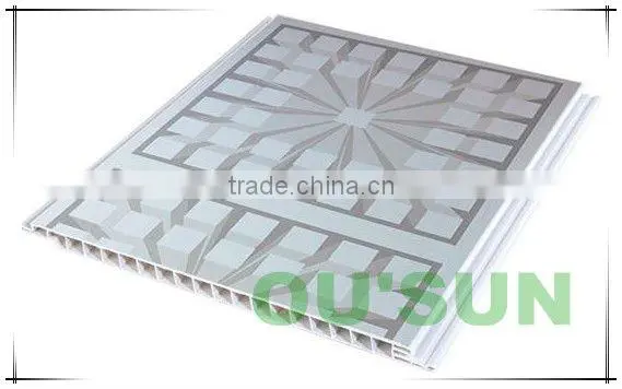2012 Haining The Newest PVC Shower Wall Panel