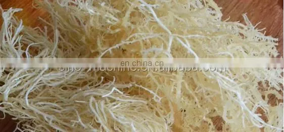 contiunous drying mango chips processing plant