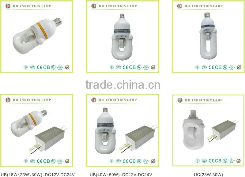 PRIVATE SOLAR CHARGE CONTROLLER OF ELECTRDELESS INDUCTION LAMP solar charge controller