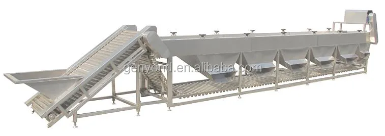 Jujube Sorting Machine Date Grading Machine