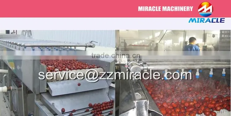 Air bubble vegetable cleaning machine/salted vegetables/fruits washing machine for sale