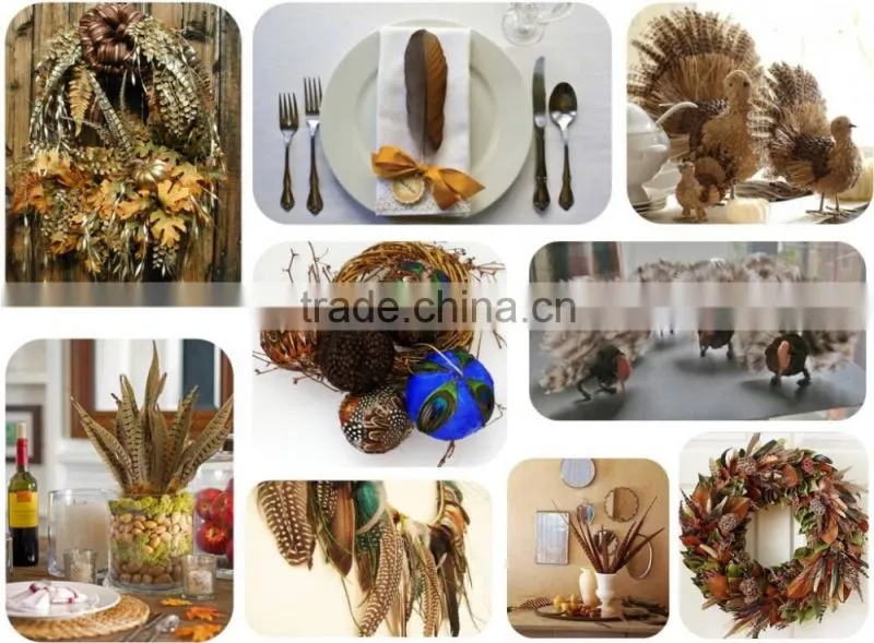16"-18" Natural Venery Pheasant Feather Tail Feather For Sale