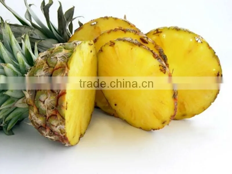 Fresh pineapple ( Tropical fruit)