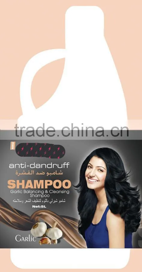 OEM Salon Hair Shampoo Series With Hair Style Products