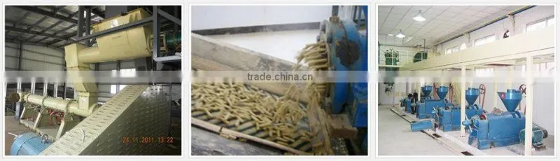 rice bran oil processing equipment
