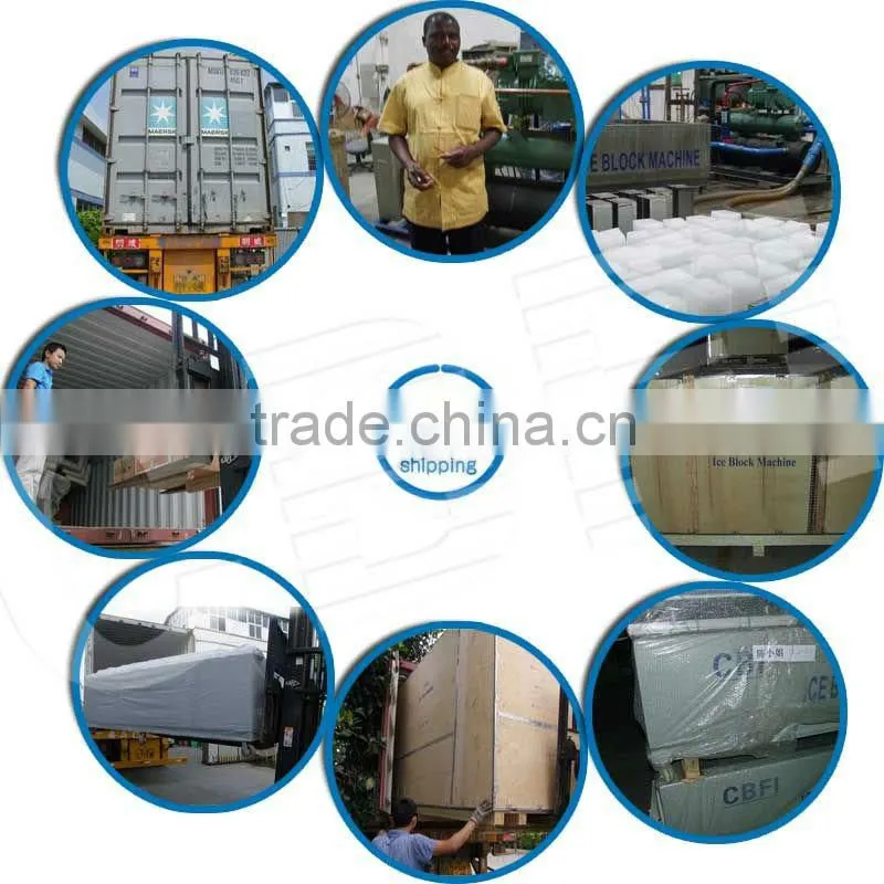 12 tons containerized ice machine for hot sale in Africa