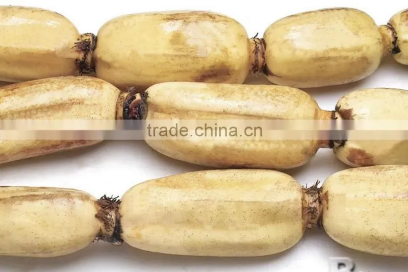 FRESH LOTUS ROOT WITH BEST PRICE AND GOOD QUANLITY