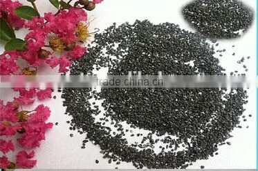 High purity excellent function SiC/ silicon carbide