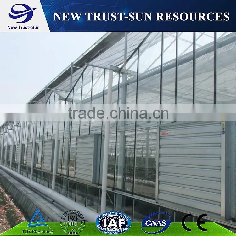 Polycarbonate/PC multi-span agricultural greenhouse