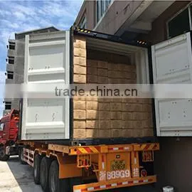 Cangnan Xingtai Cleaning Supplies Limited company overview - view 1