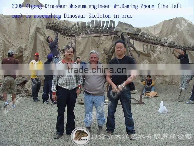 High quality dinosaur t-rex fossil model/Trade assurance