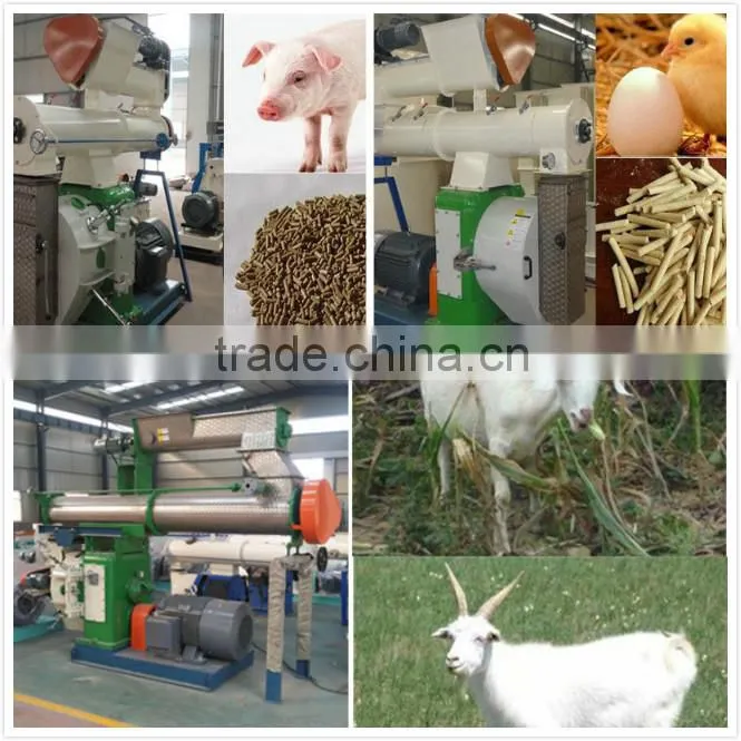 feed pellet machine