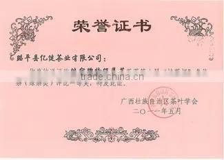 Yijian Organic Green Tea certified by China,EU, U.S,Japan