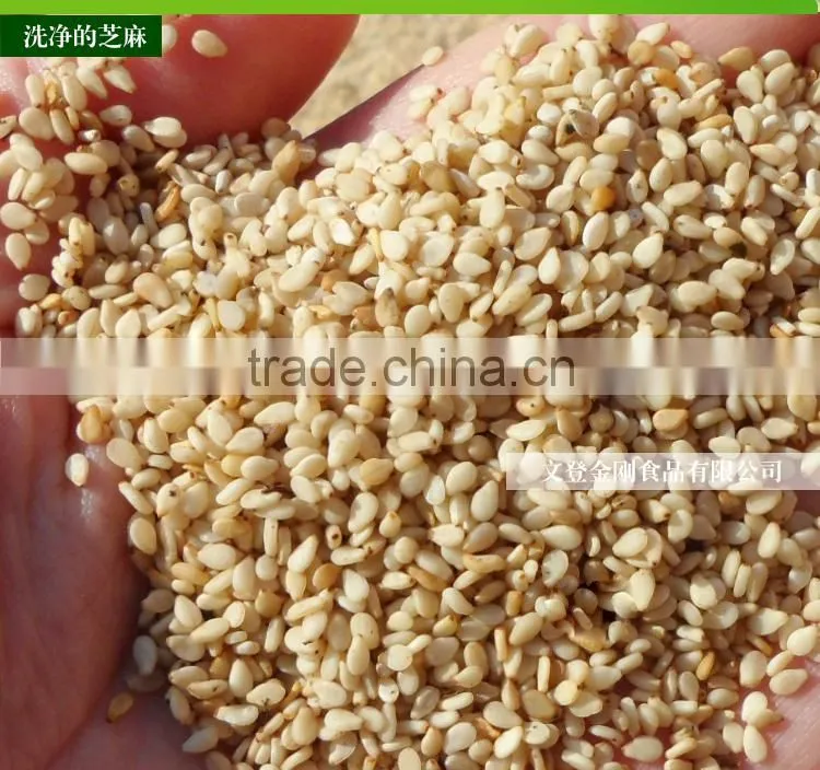 100%pure sesame oil/ Refined Pure Gingelly Oil