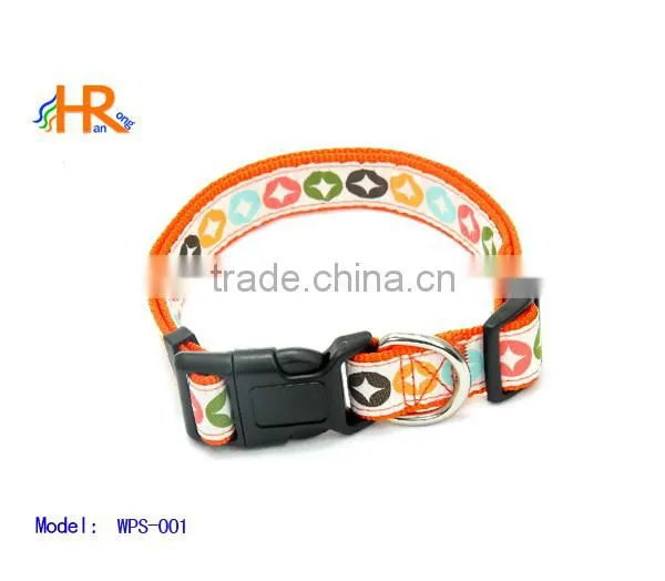 leash and collar set for dogs