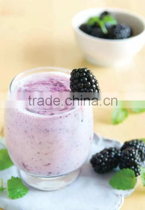 electric greek yogurt maker