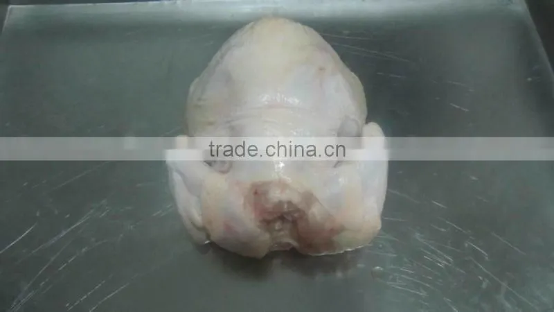 Frozen Halal Whole Chicken without head,neck,liver,feet