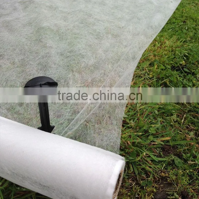 pp spunbond nonwoven banana protection cover/ nonwoven plant protective bags/ pp plant protect fabric