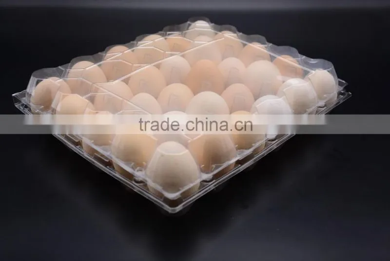 plastic chicken egg tray price of 30 cavities