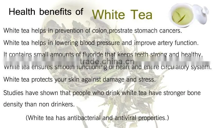 2016 Fresh Best White Tea Brands White Tea Price