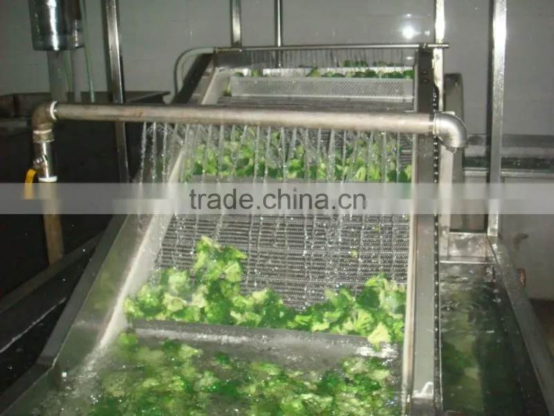 IQF Broccoli