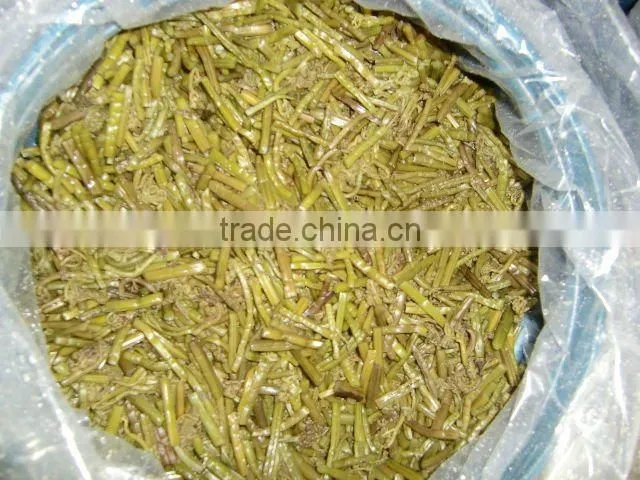 Vacuum boiled fresh eryngii mushroom in bags