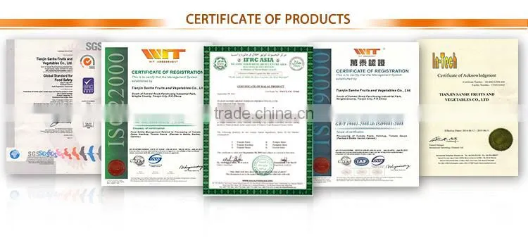 oem brand bright red sweet tomato ketchup paste sauce with best price