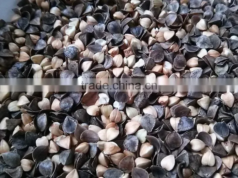 Good Performance Buckwheat Sheller