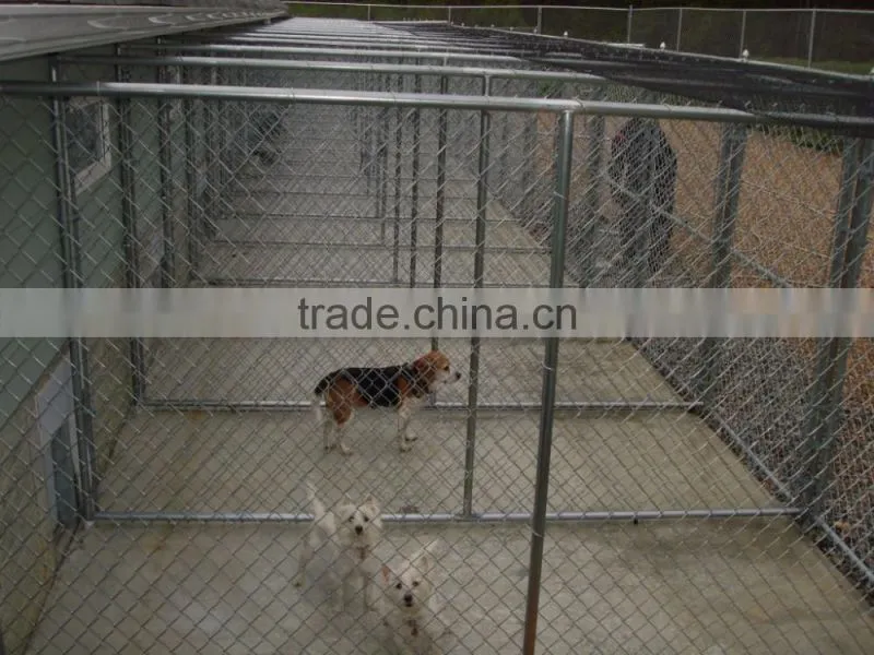 large outdoor hot-dipped galvanized chain link dog kennel