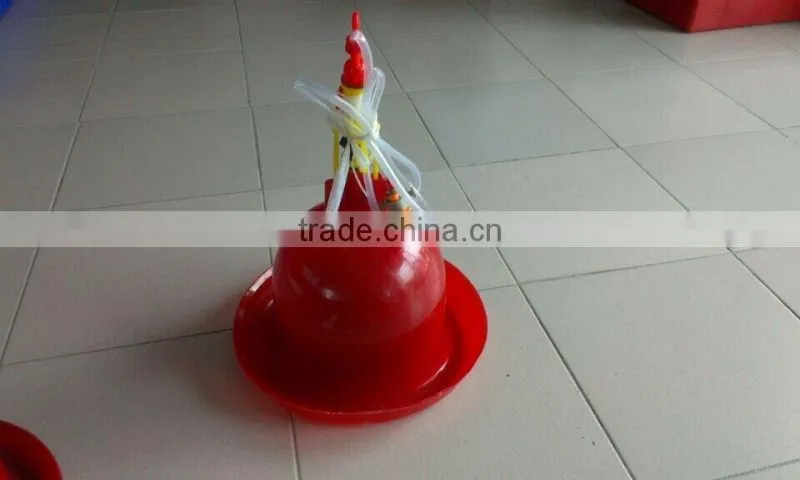 chicken waterer feeder