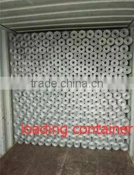 Hexagonal Mesh/Hexagonal Wire Mesh
