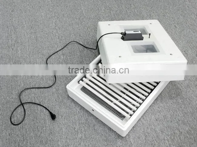 small Egg Incubator
