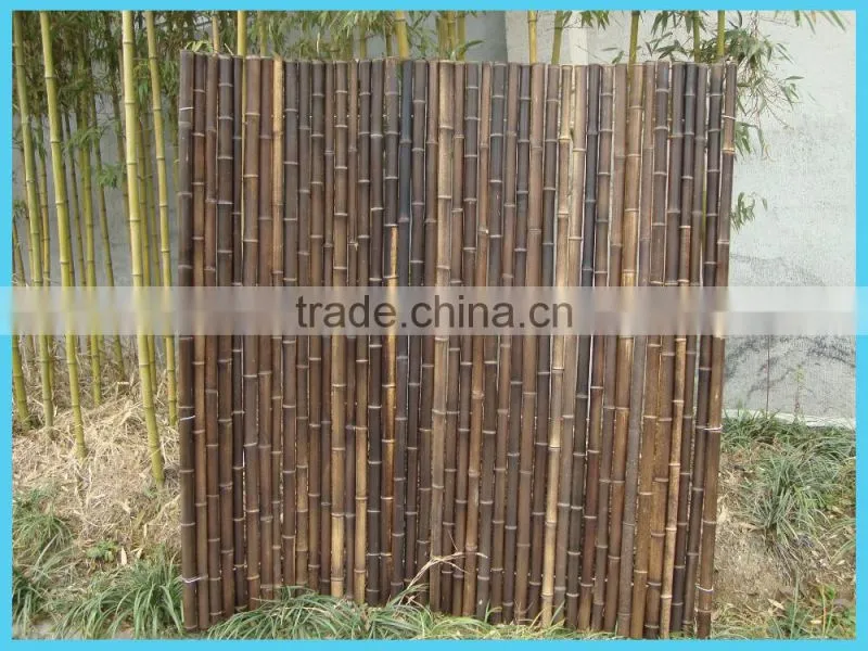 Wy-C089 bamboo fence