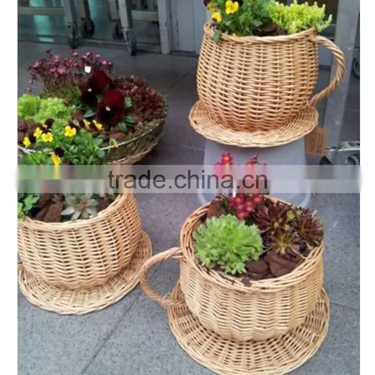 Indoor desk decoration wicke rwoven novelty small teacup planters