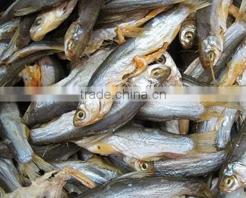 industrial fish drying machine