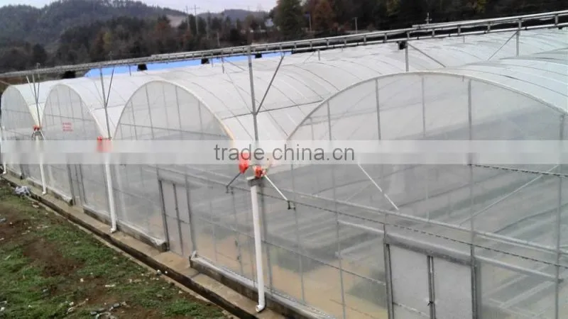 vegetable greenhouses for sale 200 micron greenhouse film/vegetable seeds greenhouse