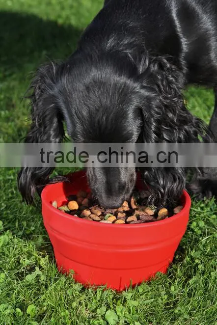 silicone collapsible travel bowls for your dog&silicone collapsible pet bowl&silicone dog bowl