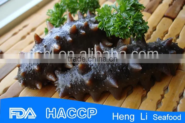 China supplier food salted sea cucumber
