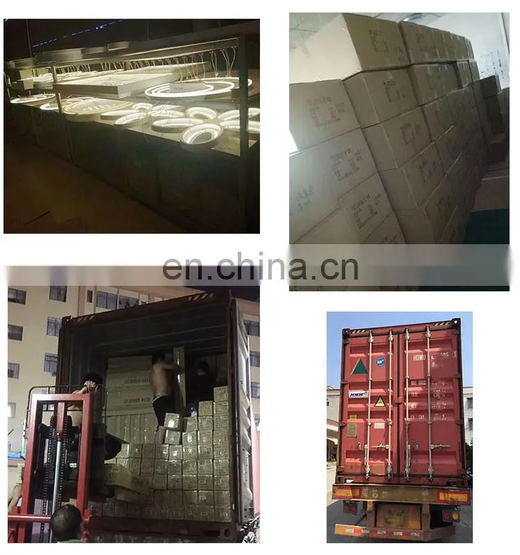 Chinese supplier Creative leaf surface mounted LED ceiling lights
