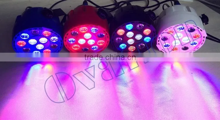 12pcs*1W RGBW 4 in1 High Quality Outdoor Led Stage Light Mini Can Led par light