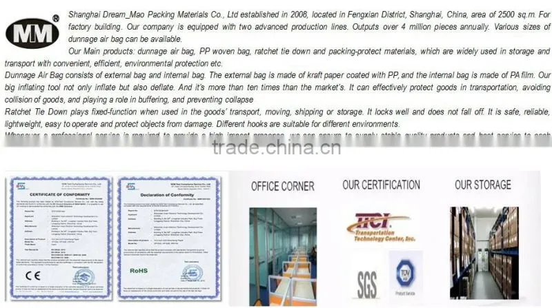IOS 9001 and CE Certification 10T cargo lashing belt with hooks