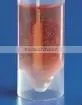 Nasal cavity specimen collection/sampling swab