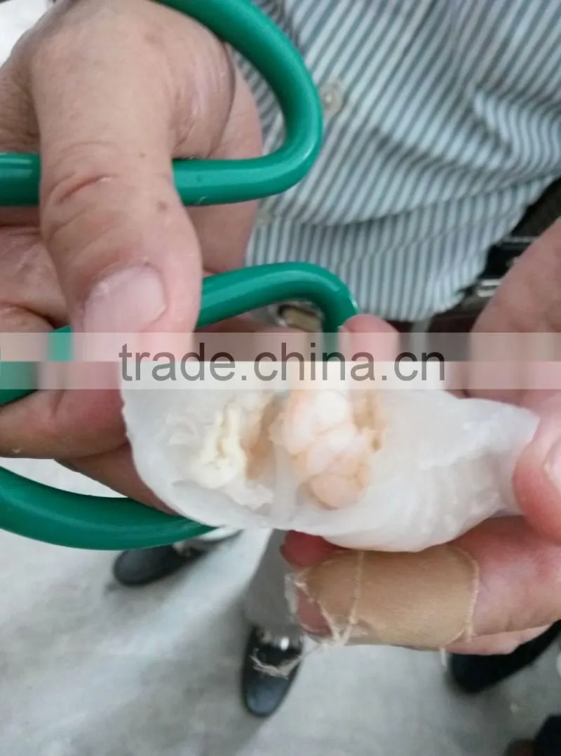 JG-50C shrimp dumpling machine/ Har gow/dumpling Maker Machine and Equipment
